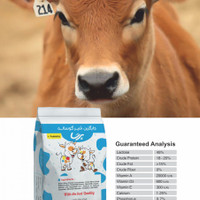 شیر خشک (جایگزین شیر) گوساله برند پرسا 10 کیلویی