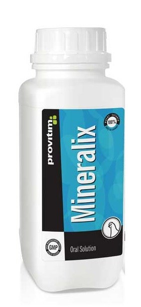 مینرالیکس لهستان 1 لیتری