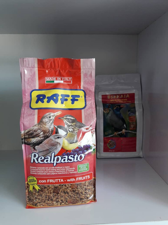 غذای مرغ مینا و پرندگان حشره خوار