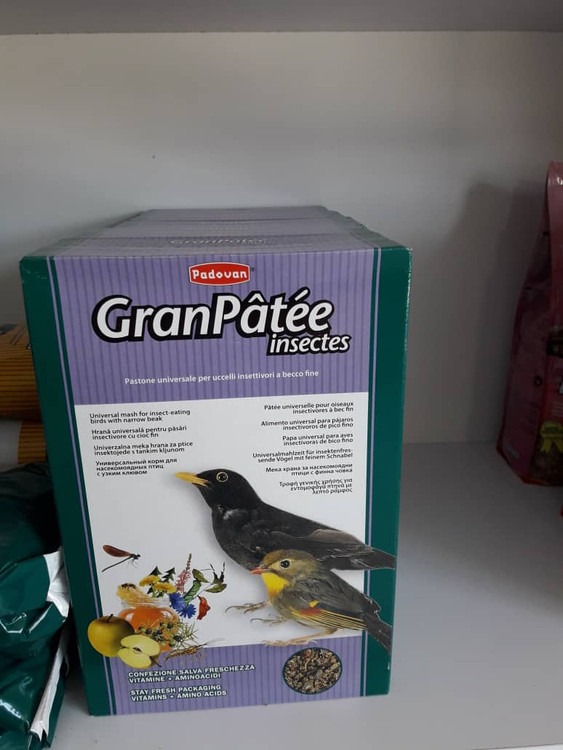 غذای مرغ مینا پادوان مدل gran patee insectes وزن 1 کیلوگرم