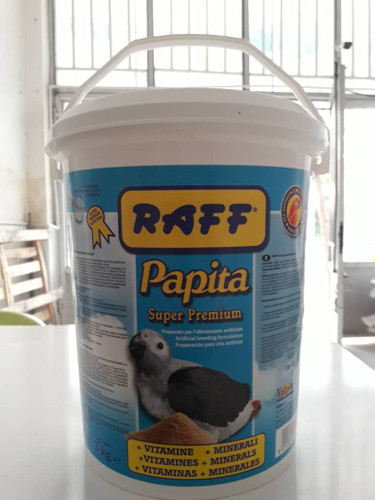 سرلاک طوطی سانان برند راف