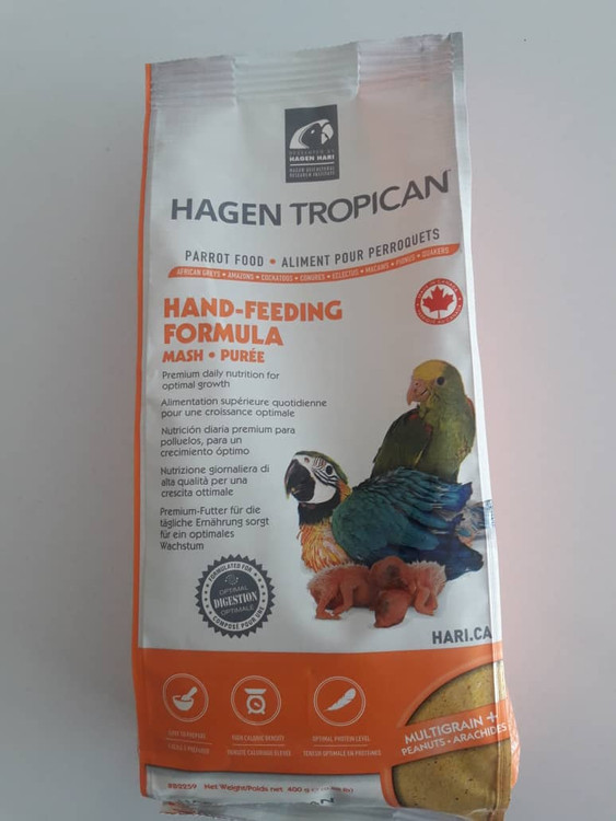 سرلاک طوطی سانان هاگن کانادا ۴۰۰ گرمی