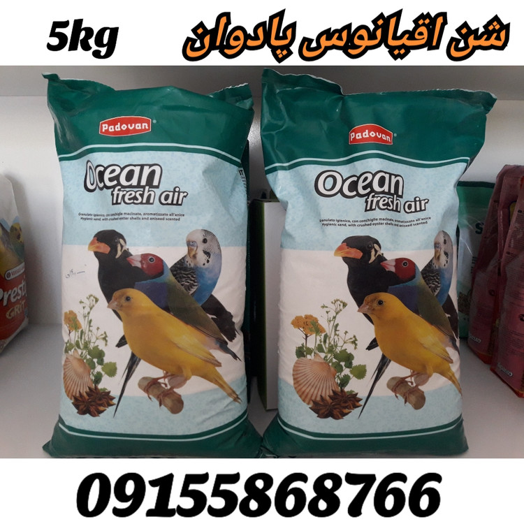 شن اقیانوس پادوان ایتالیا وزن ۵ کیلوگرم