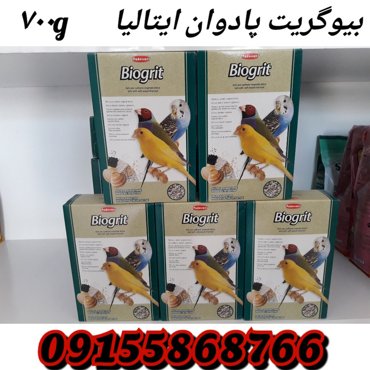 شن و صدف و... بیوگریت پادوان ایتالیا وزن ۷۰۰ گرم