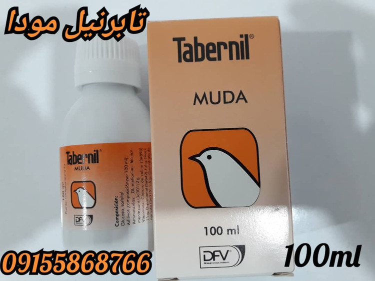 مودا تابرنیل اسپانیا حجم ۱۰۰ سی سی