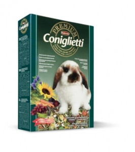 پادوان خرگوش