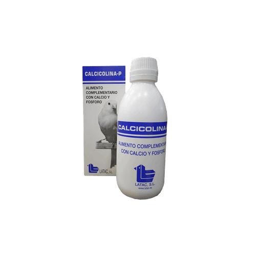 کلسی کولینا لاتاک اسپانیا