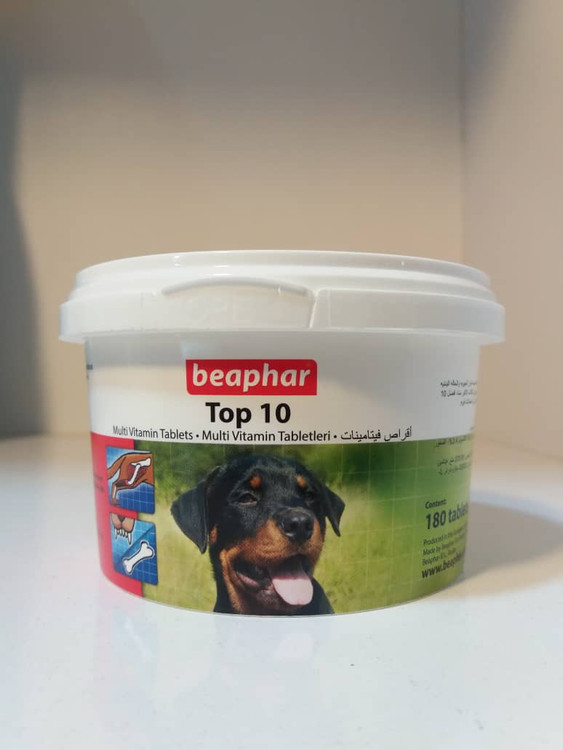 تاپ 10 بیفار سگ