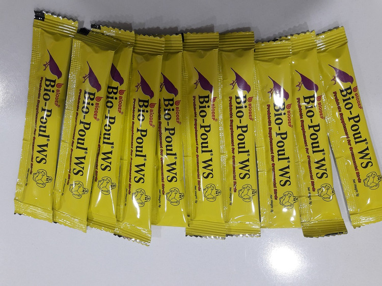 پروبیوتیک ایرانی