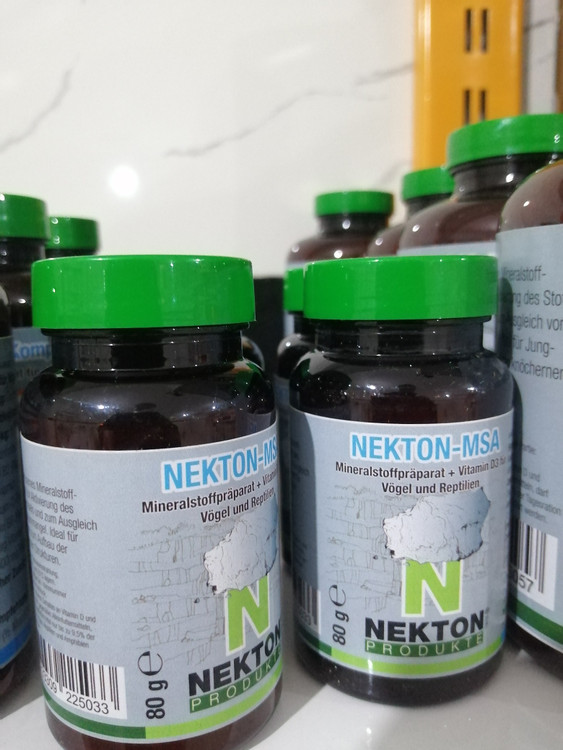 نکتون آلمان