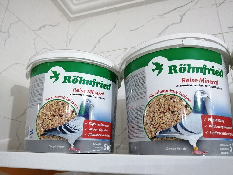 مینرال کبوتر