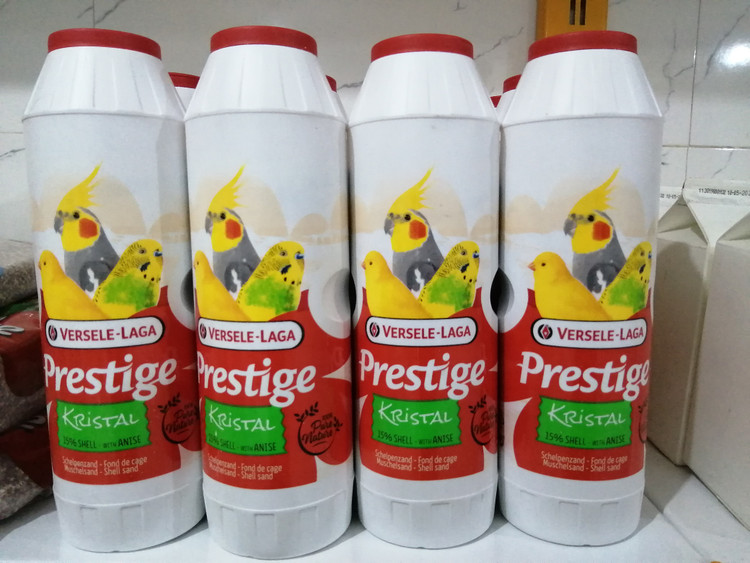 ماسه و پوسته صدف