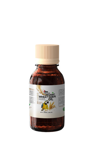 روغن