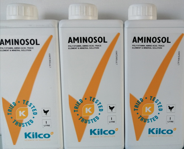 آمینوسل انگلیس