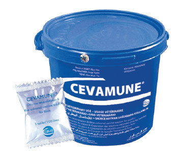 Ceva