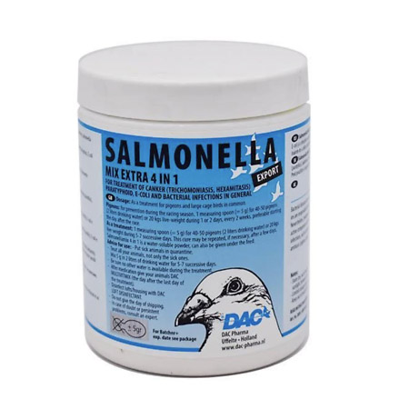 salmonella