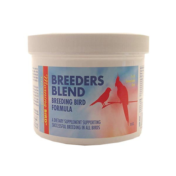 بریدرز بلند