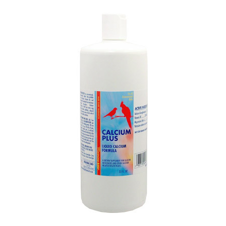 کلسیم مورنینگ برد آمریکا