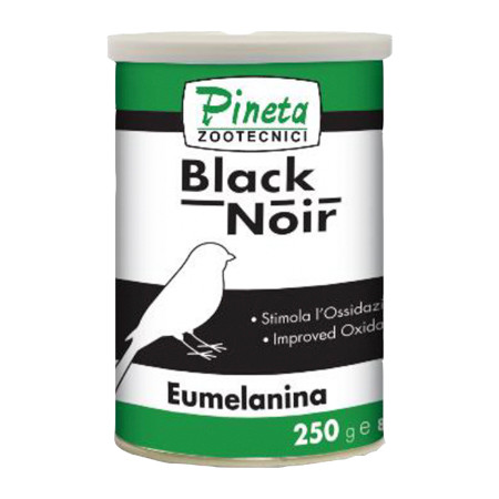 رنگدانه مشکی