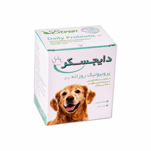 دایجسکر