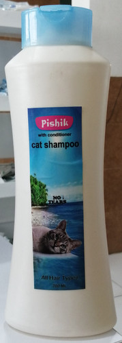 Pishik