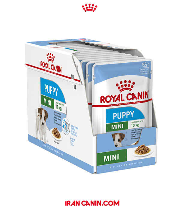 پوچ سگ رویال کنین