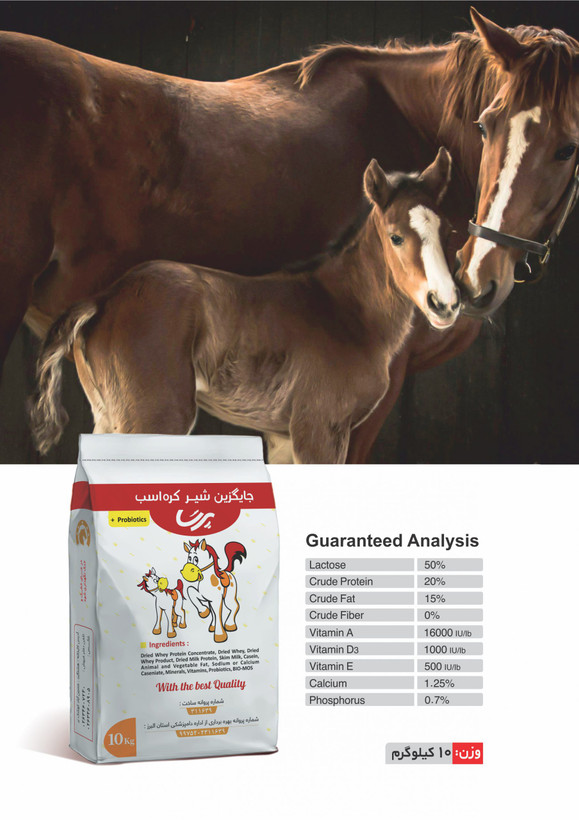foal