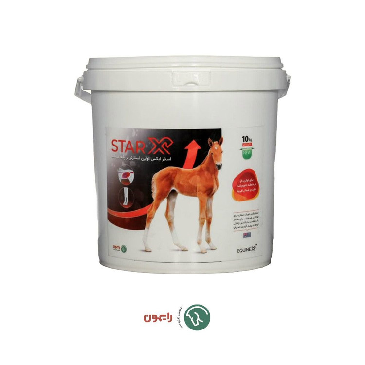 raimongroup