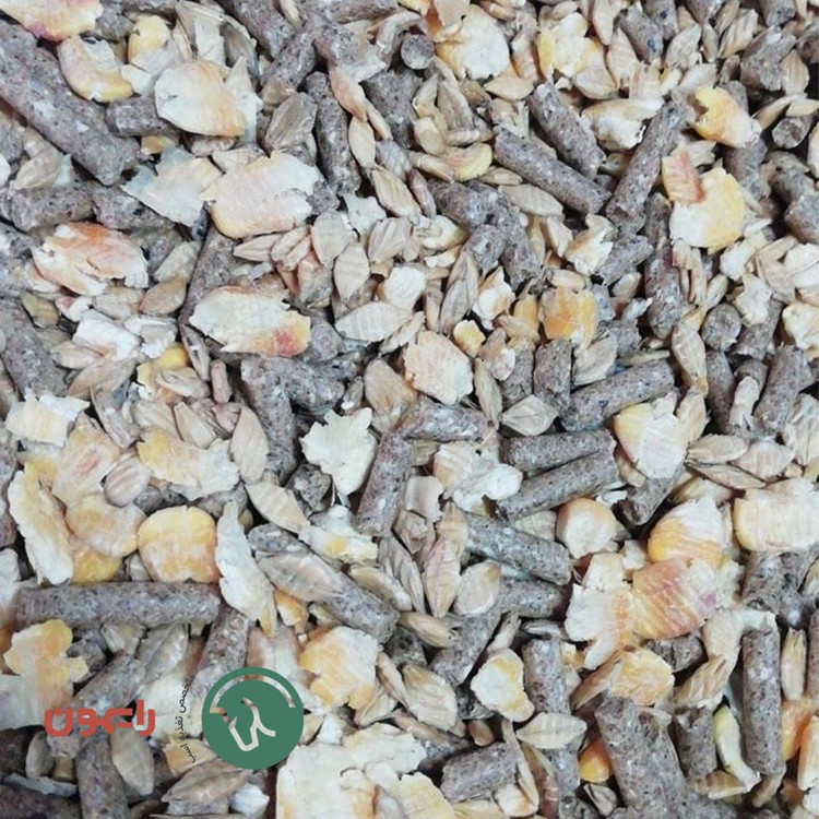 کوفید باشگاهی آجیلی هیگر