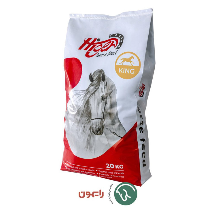 کینگ | King رایمون