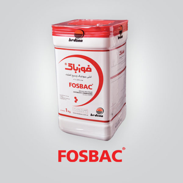 فوزباک