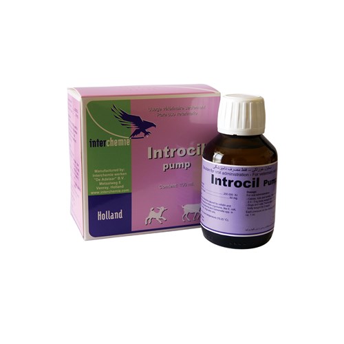 Introcil