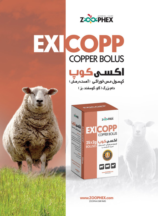 Exicopp