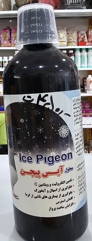 Ice Pigeon