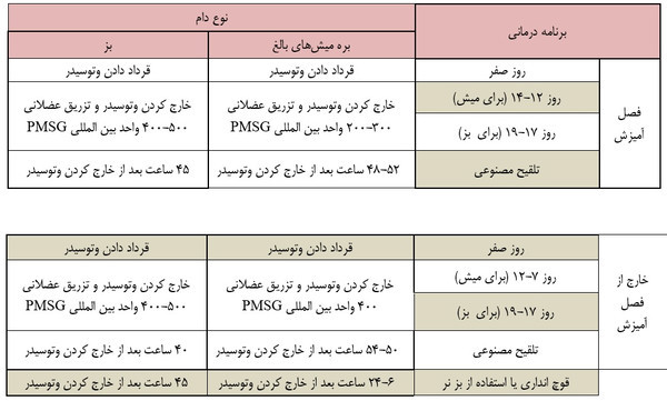 وتوسیدر گوسفندی 12عددی