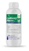 CARVAVIT