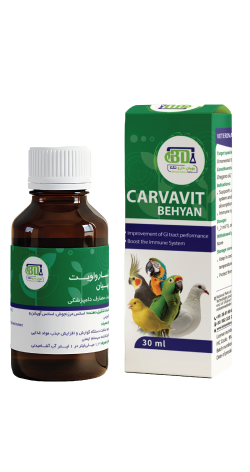 CARVAVIT