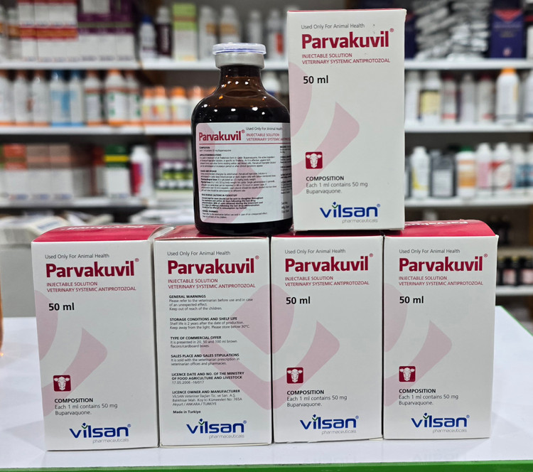 پارواکوویل (بوپارواکن ویلسان ترکیه) 50 میل