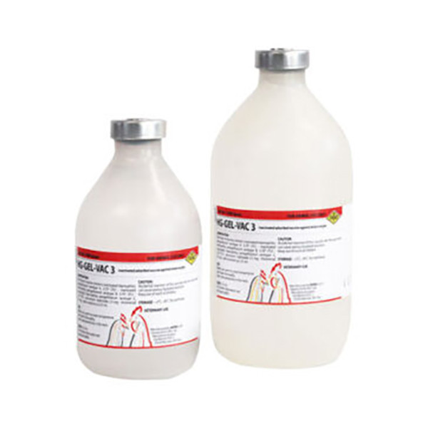 واکسن کشته HG GEL-VAC 3