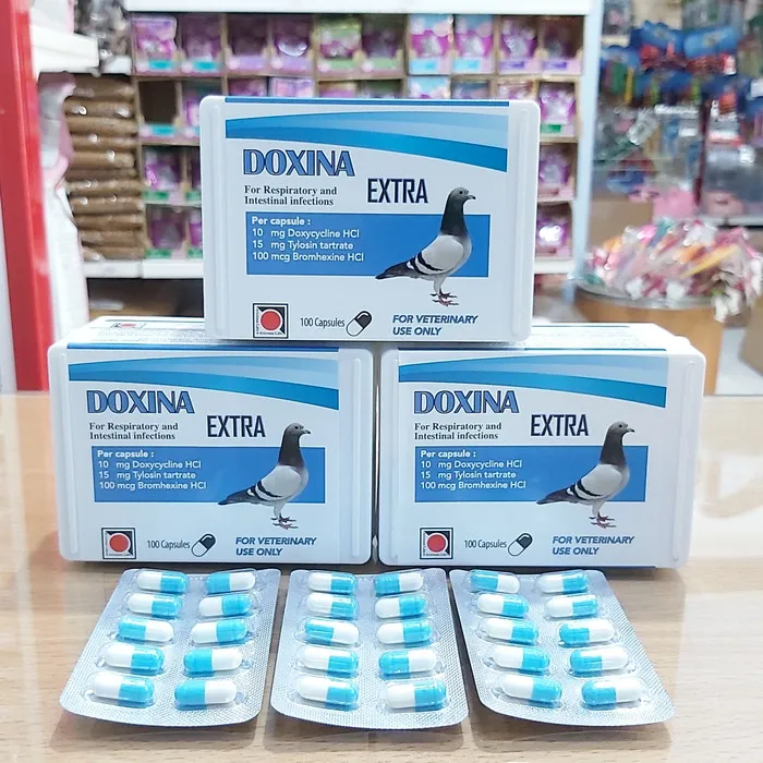 کپسول داکسینا اکسترا هلند ( 100 عددی)
